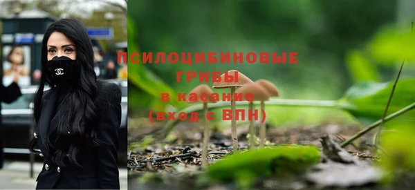 герыч Алексин