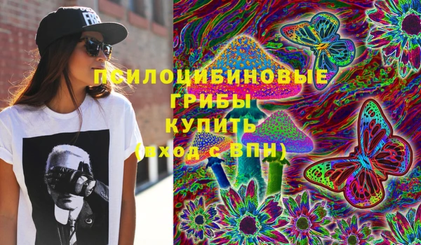 герыч Алексин