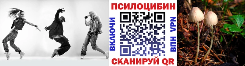 Галлюциногенные грибы GOLDEN TEACHER  цена наркотик  Шадринск 